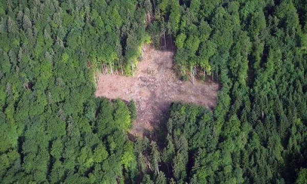 瑞士卢森地板获得并追求更高的客户满意度